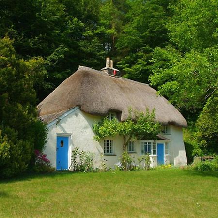 Lew Quarry Cottage Lewdown 外观 照片