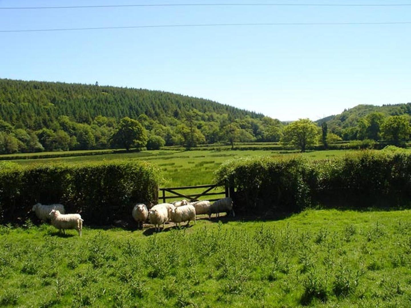 Lew Quarry Cottage Lewdown 外观 照片